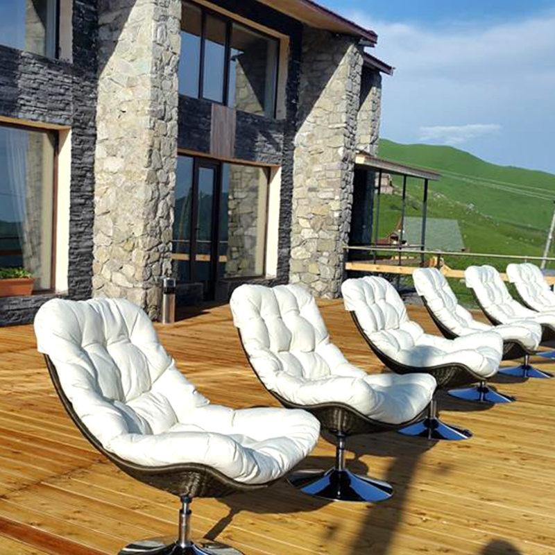 Read more about the article სასტუმრო გუდაურში